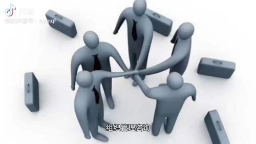 組織管理咨詢與軟件開發(fā) 協(xié)同創(chuàng)新的關(guān)鍵路徑